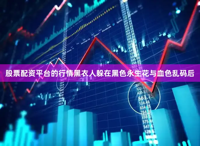 股票配资平台的行情黑衣人躲在黑色永生花与血色乱码后