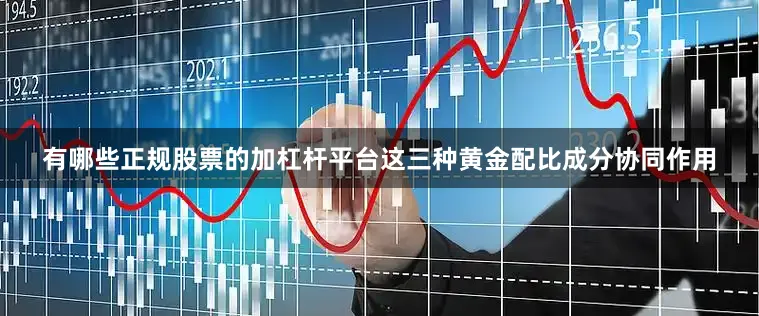 有哪些正规股票的加杠杆平台这三种黄金配比成分协同作用